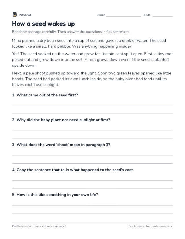 How a seed wakes up: reading passage for Grade 1, page 1 preview