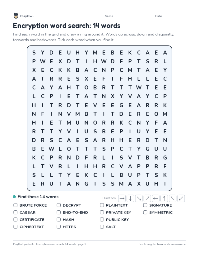 Encryption word search: 14 words: word search for Grade 10, page 1 preview