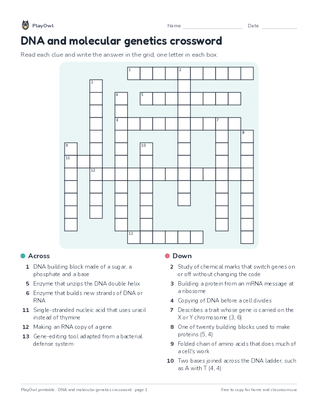 DNA and molecular genetics crossword: crossword puzzle for Grade 10, page 1 preview