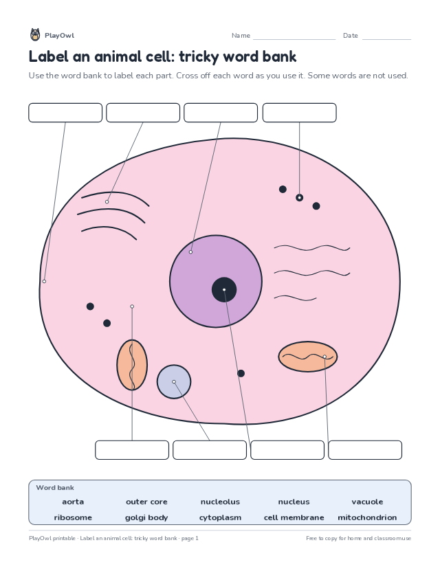 Label an animal cell: tricky word bank: science diagram worksheet for Grade 10, page 1 preview