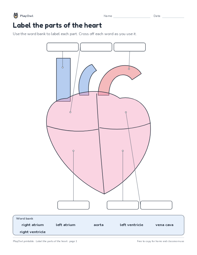 Label the parts of the heart: science diagram worksheet for Grade 10, page 1 preview