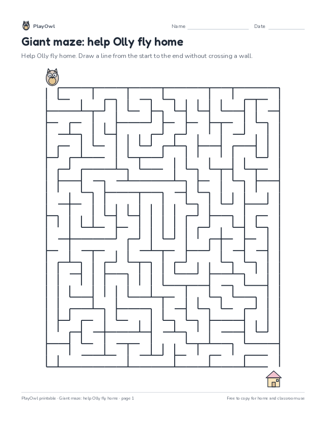 Giant maze: help Olly fly home: maze for Grade 11, page 1 preview