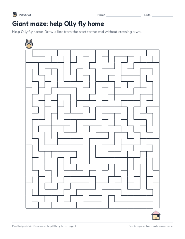 Giant maze: help Olly fly home: maze for Grade 12, page 1 preview