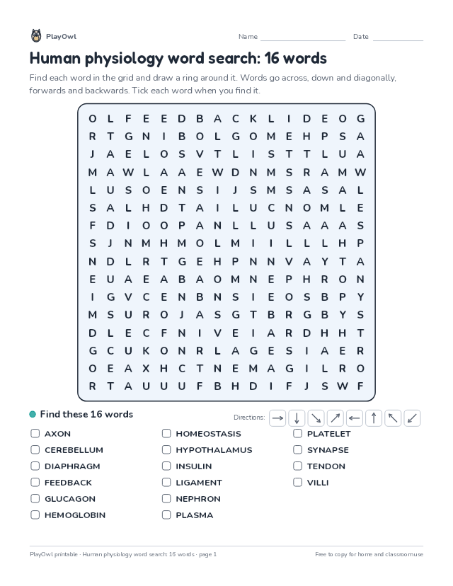 Human physiology word search: 16 words: word search for Grade 12, page 1 preview