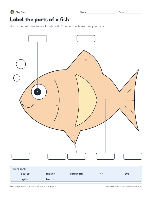 Label the parts of a fish: science diagram worksheet for Grade 2, page 1 preview