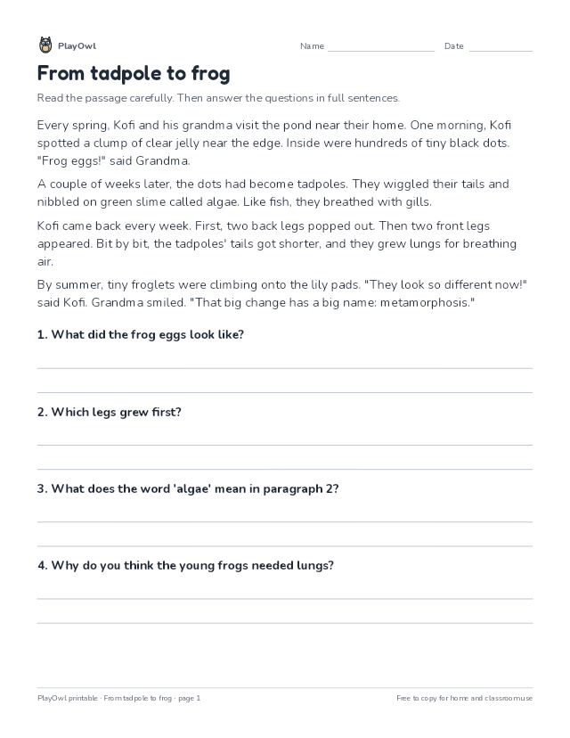 From tadpole to frog: reading passage for Grade 2, page 1 preview