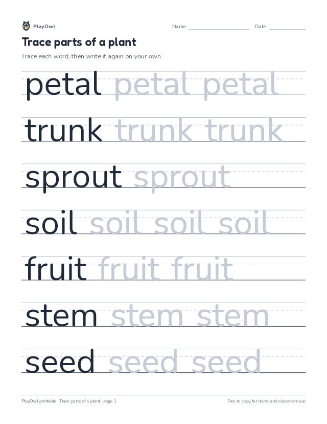 Trace parts of a plant: tracing worksheet for Grade 2, page 1 preview