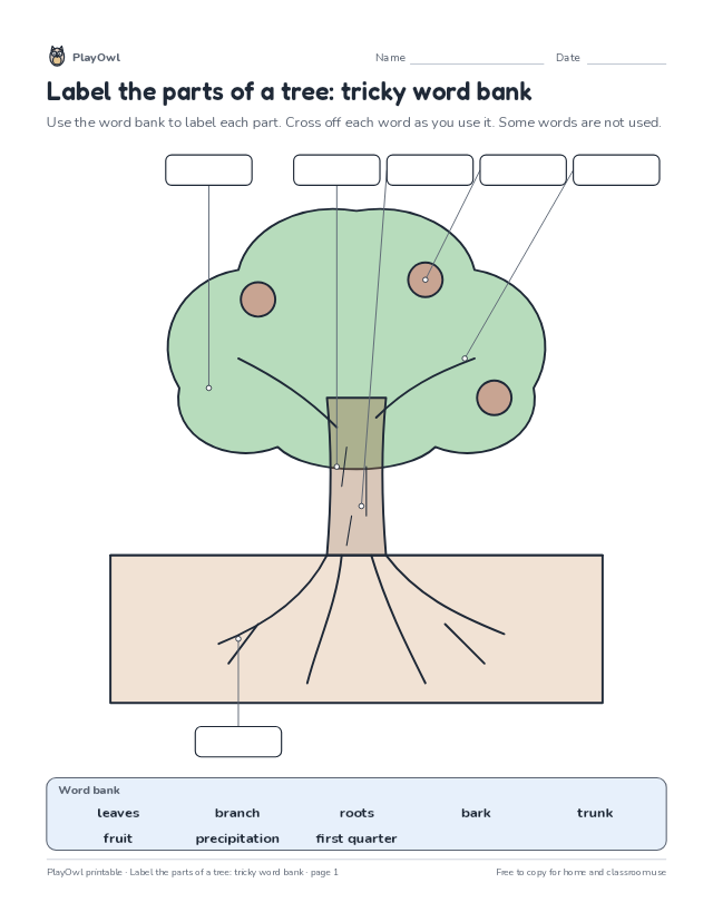 Label the parts of a tree: tricky word bank: science diagram worksheet for Grade 3, page 1 preview