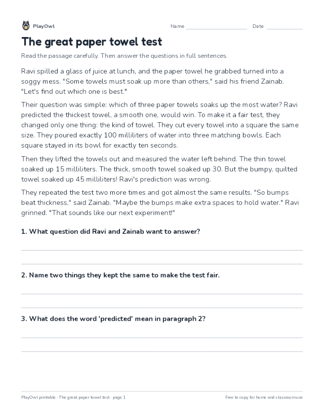 The great paper towel test: reading passage for Grade 3, page 1 preview