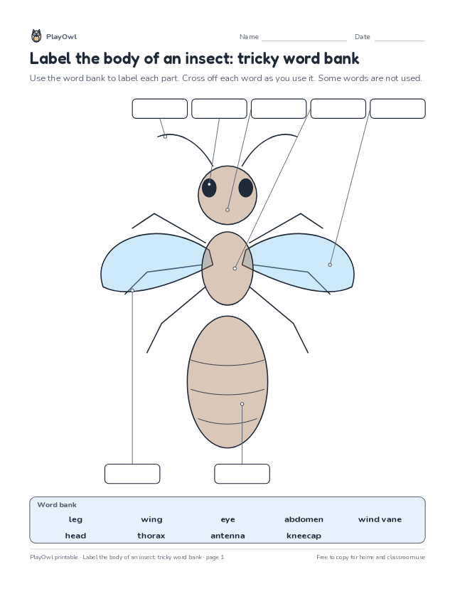Label the body of an insect: tricky word bank: science diagram worksheet for Grade 4, page 1 preview