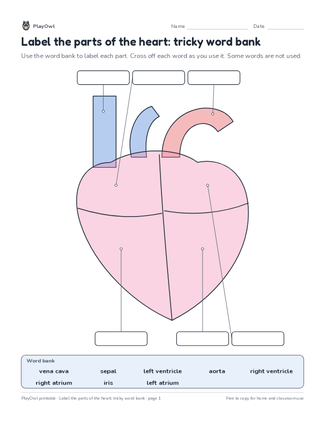 Label the parts of the heart: tricky word bank: science diagram worksheet for Grades 5–8, page 1 preview