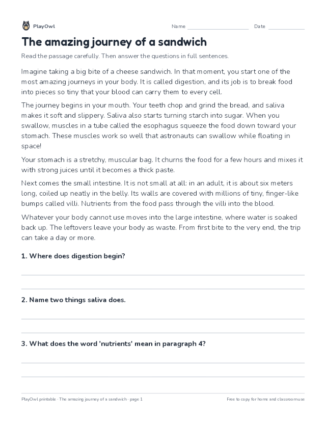 The amazing journey of a sandwich: reading passage for Grade 5, page 1 preview