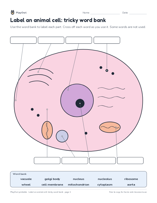 Label an animal cell: tricky word bank: science diagram worksheet for Grade 7, page 1 preview