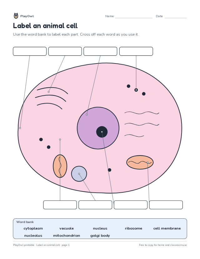 Label an animal cell: science diagram worksheet for Grade 9, page 1 preview