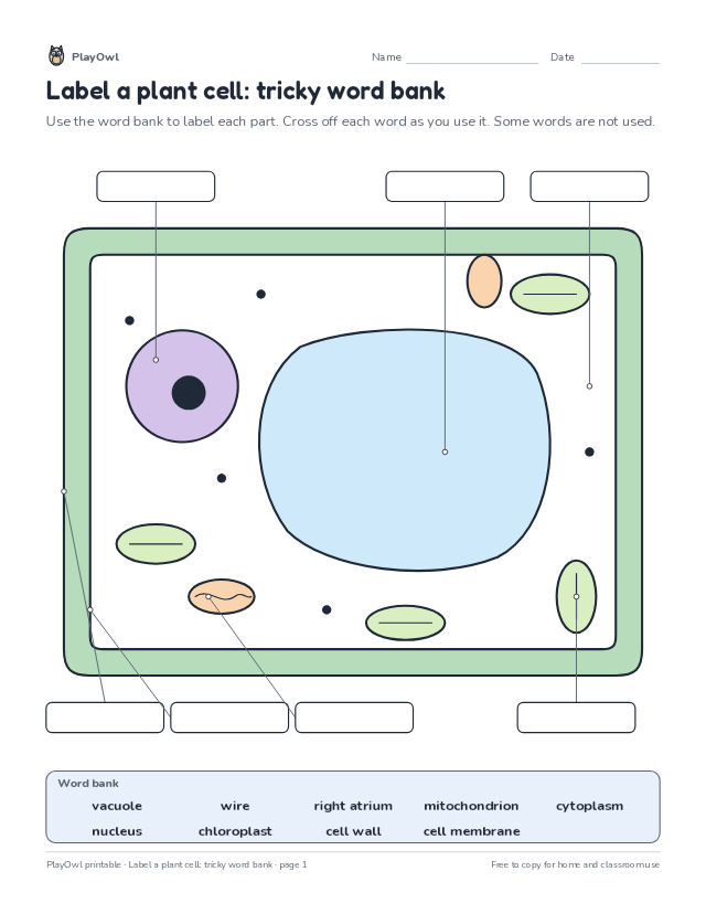 Label a plant cell: tricky word bank: science diagram worksheet for Grade 9, page 1 preview