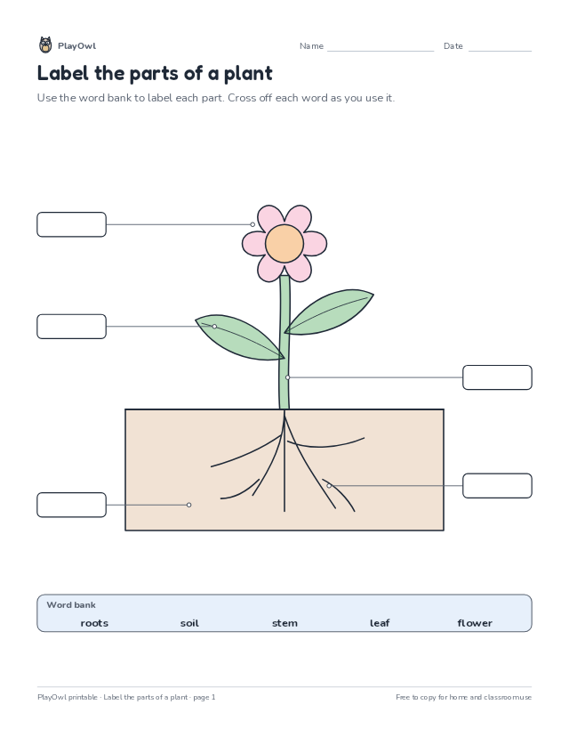 Label the parts of a plant: science diagram worksheet for Kindergarten to Grade 1, page 1 preview
