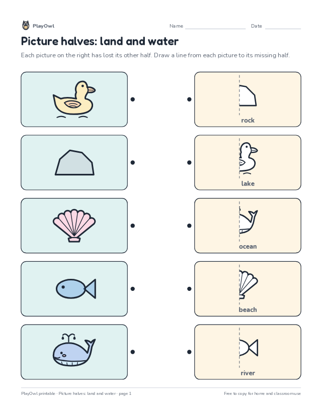 Picture halves: land and water: matching worksheet for Pre-K, page 1 preview