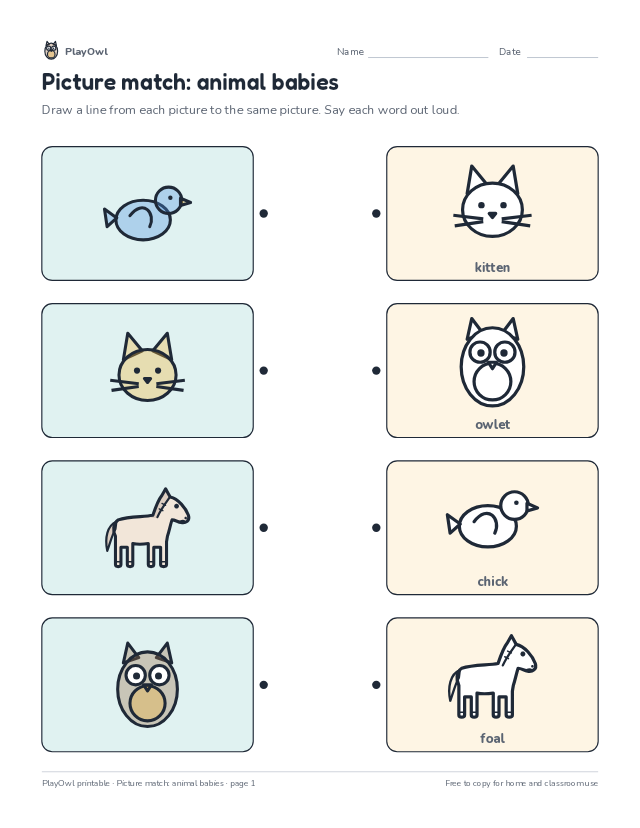 Picture match: animal babies: matching worksheet for Pre-K, page 1 preview
