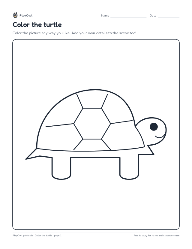 Color the turtle: coloring page for Preschool, page 1 preview